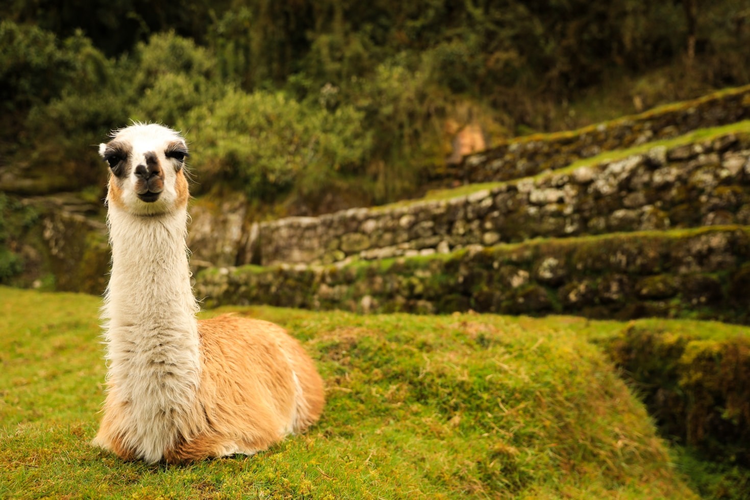 Los secretos ocultos de Machu Picchu