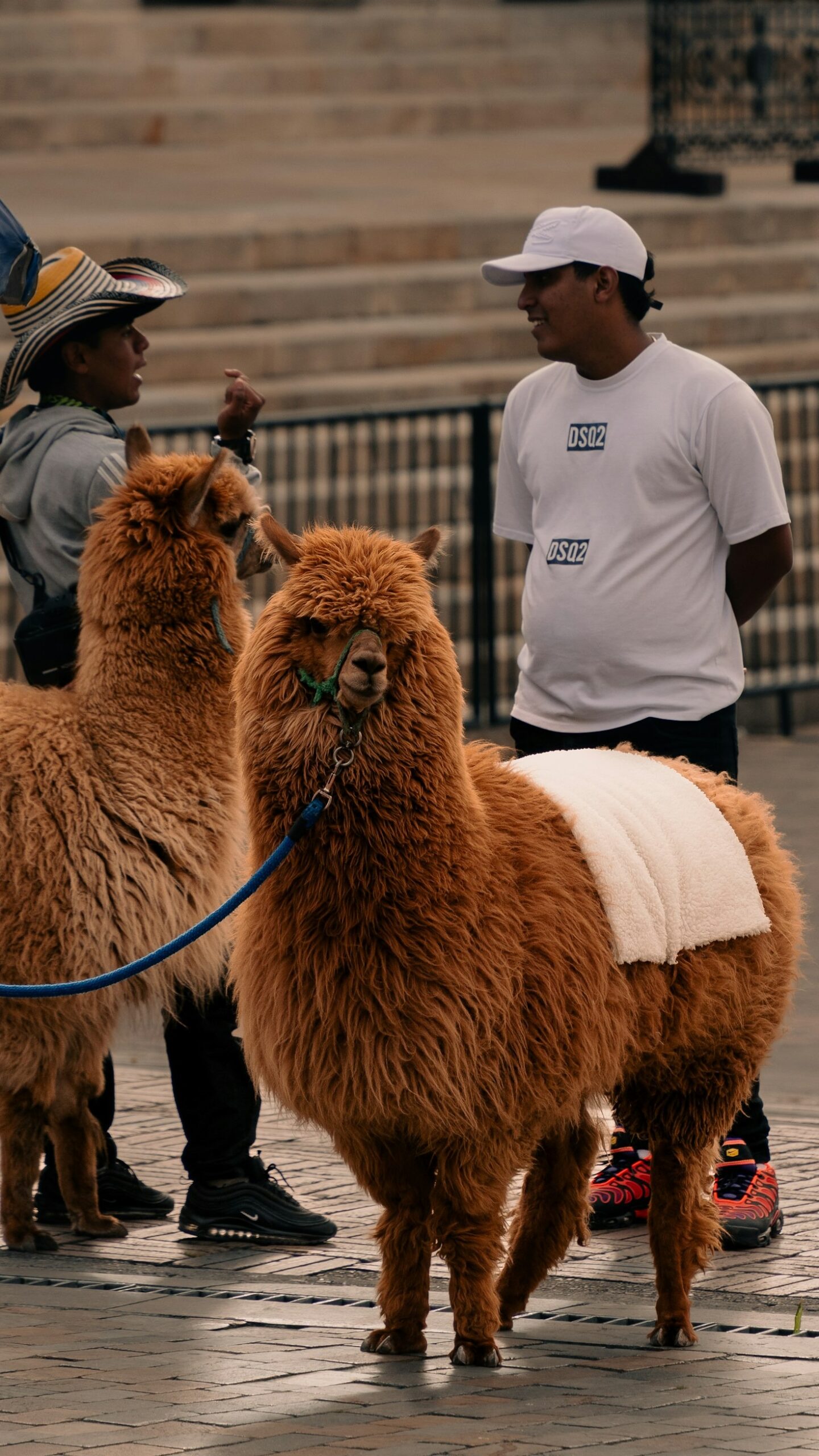Festividades que dan color al país